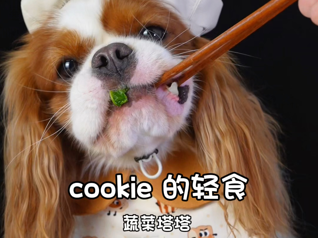 cookie 的轻食蔬菜塔塔哔哩哔哩bilibili