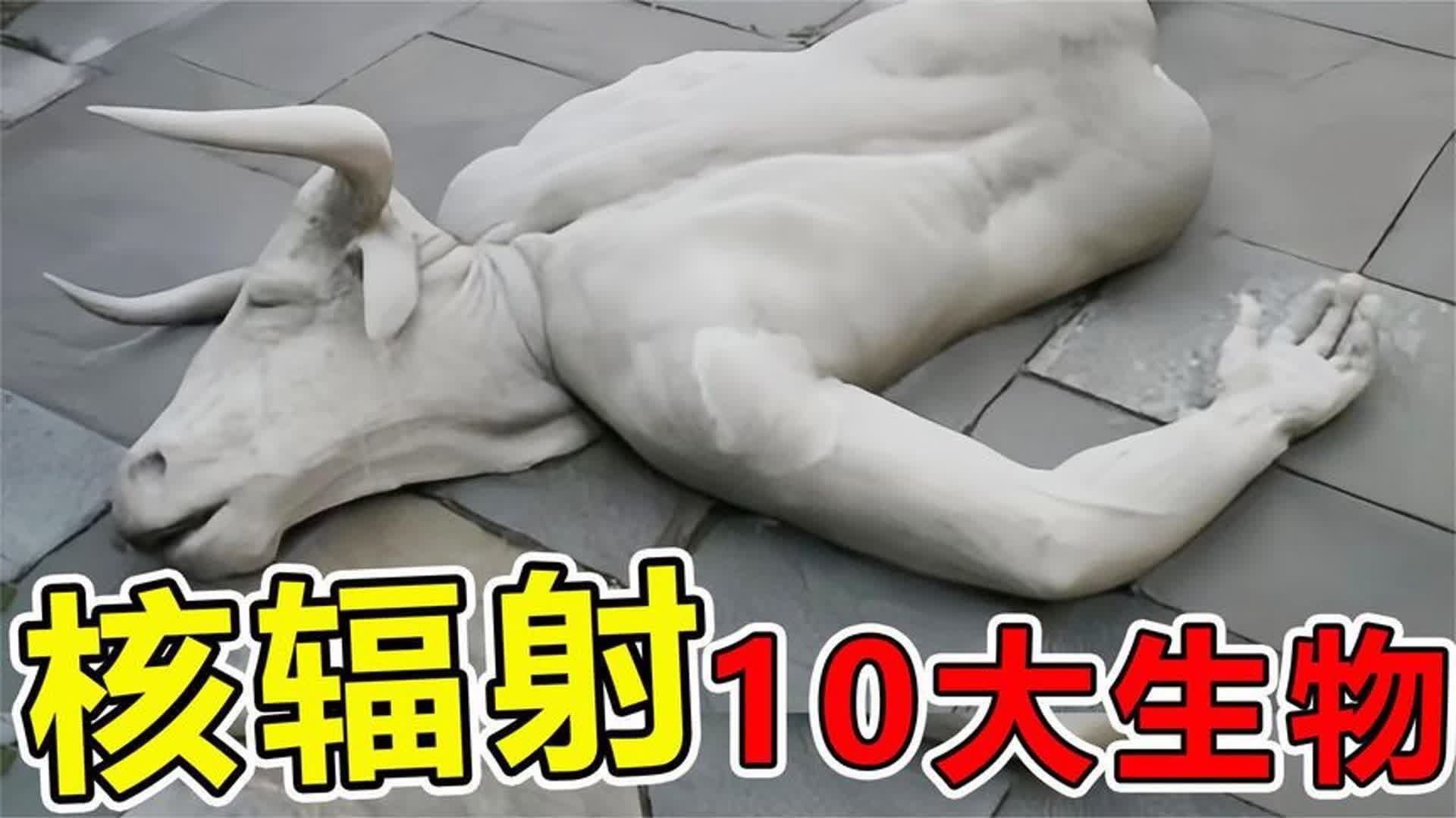 切尔诺贝利“最惊人”的10大发现，神秘大象脚真的会摧毁地球吗
