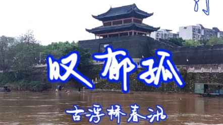 一座赣州城,半部宋代史.一首古诗词,火了1000年.辛弃疾,文官中最能打架,武官中最有文化.菩萨蛮ⷤ𙦦𑟨忩€ 口壁哔哩哔哩bilibili