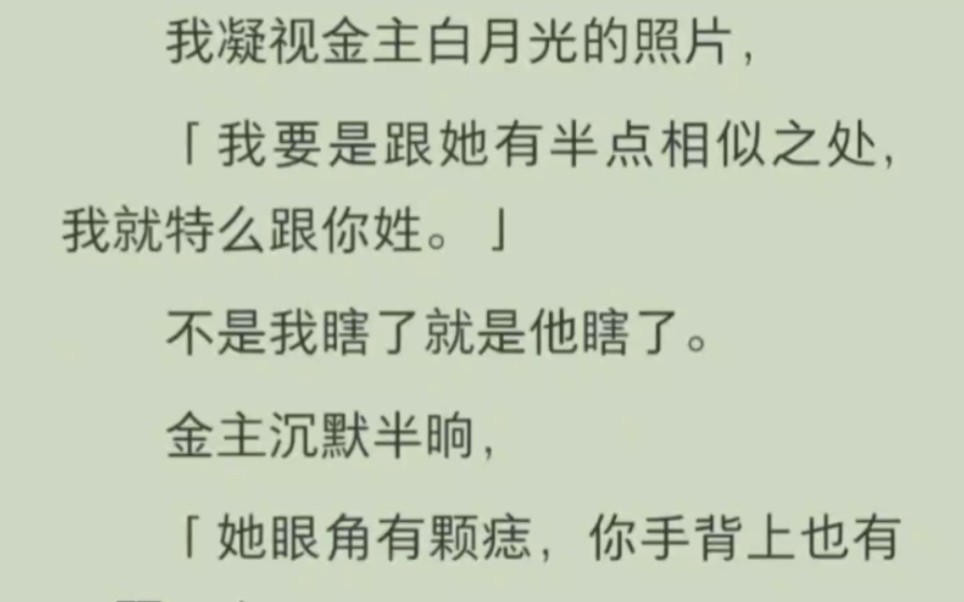 【免费已完结】我凝视金主白月光的照片.「我要是跟她有半点相似之处,我就特么跟你姓.」不是我瞎了就是他瞎了.金主沉默半晌.「她眼角有颗痣,...