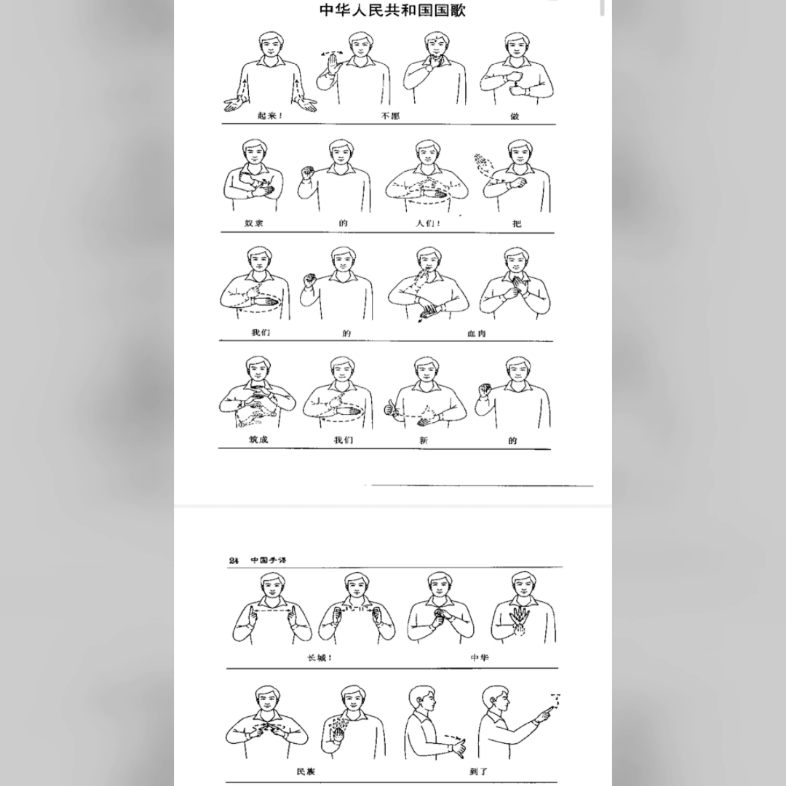 零基础学习中国手语哔哩哔哩bilibili