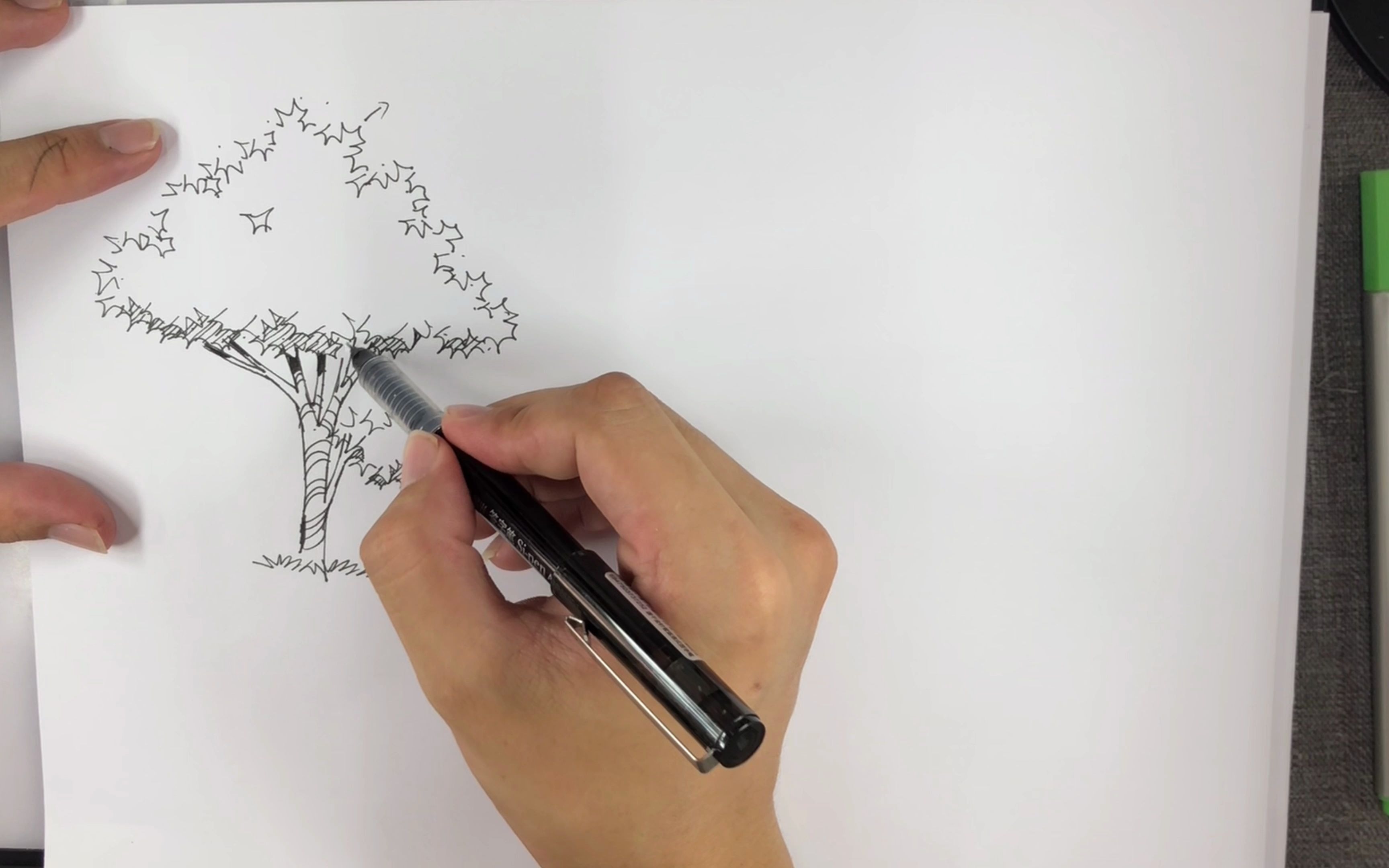老张教你如何利用万能的植物抖线画树——云手绘云软件设计教育