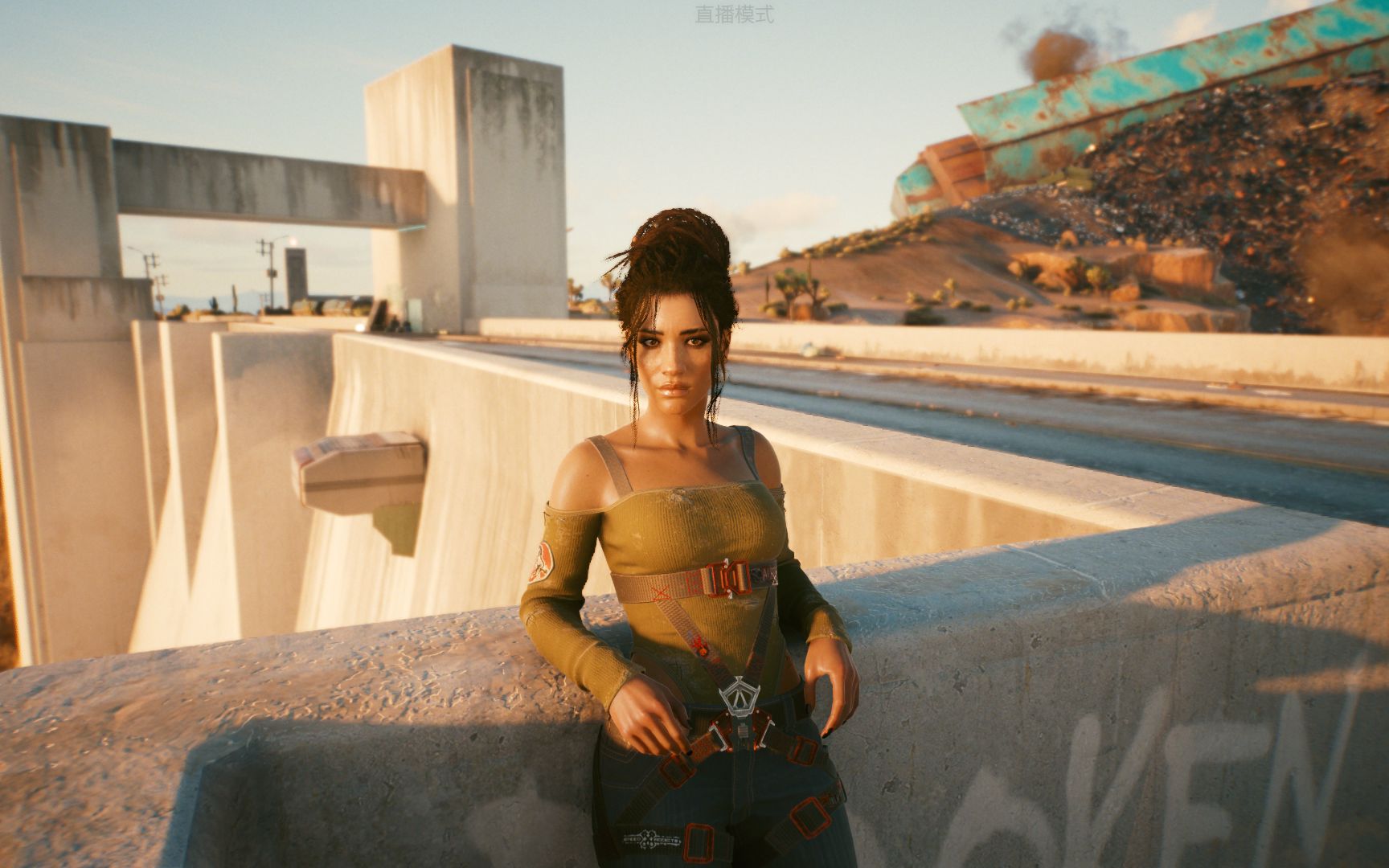 赛博朋克2077高画质1080p第二十三期帕南结局