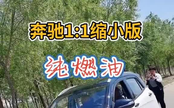 油电两用代步车 电动四轮车哔哩哔哩bilibili