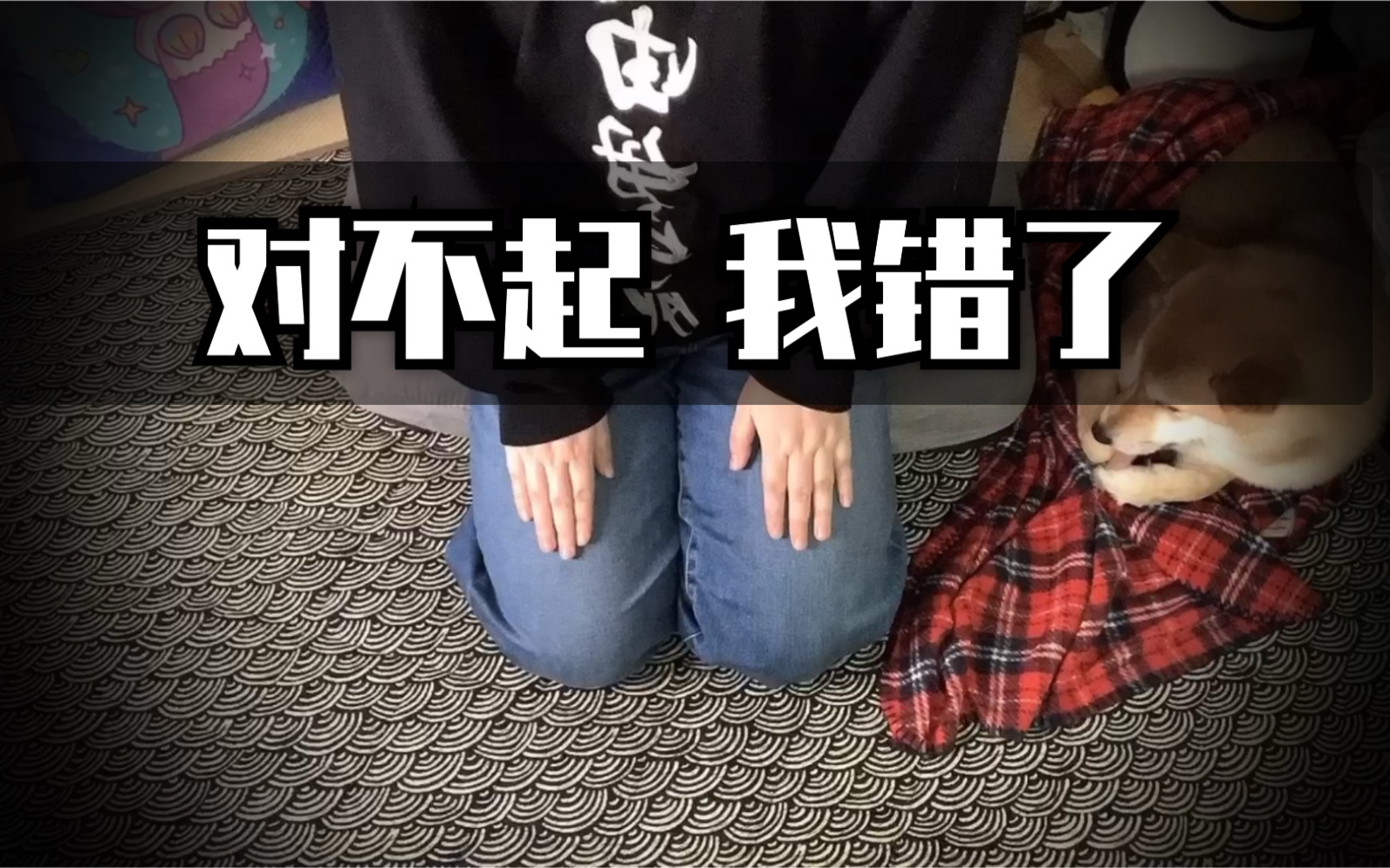 【鱼头的道歉】为什么鱼头会停更&王者内容什么时候更新!(掌嘴)