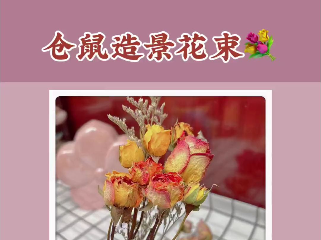 仓鼠造景干花自己DIY便宜又好看!哔哩哔哩bilibili