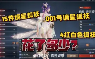 Download Video: 001谪星狐袄+15件谪星狐袄+4红狐袄到底花了多少？？？