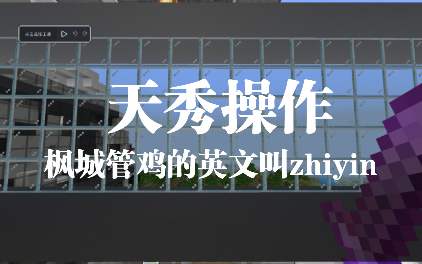 我的世界 探访枫城虹湾动物园,枫城市管鸡的英文名叫zhiyin哔哩哔哩bilibili我的世界