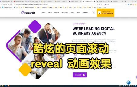 [图]酷炫的页面滚动 reveal 动画效果