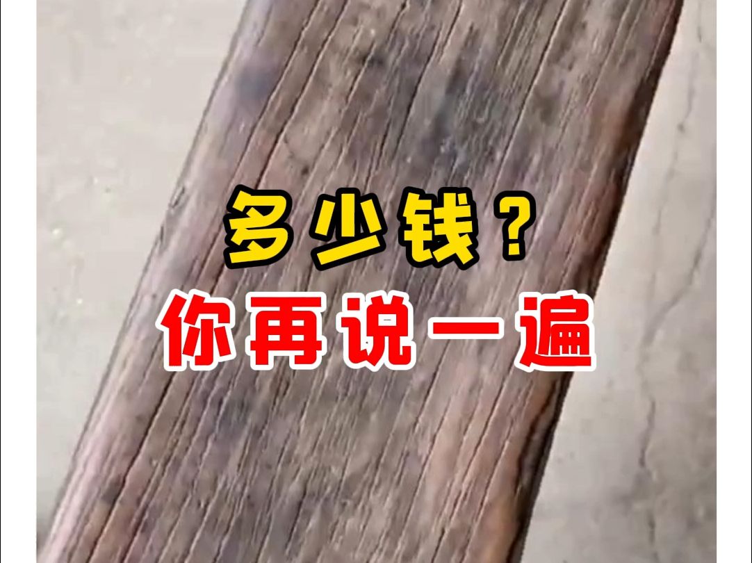 【微拍堂】多少钱?你再说一遍哔哩哔哩bilibili