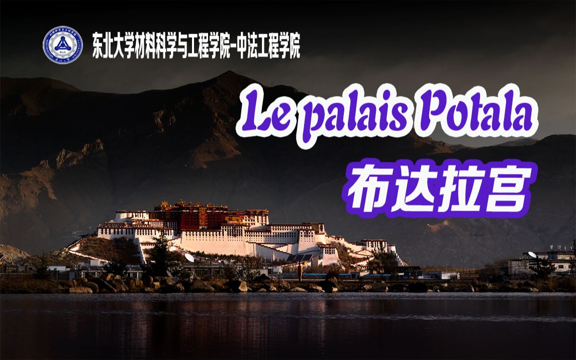 【法语讲中国Ⅰ】Le palais Potala 布达拉宫 | 中法1803 王漋菲哔哩哔哩bilibili