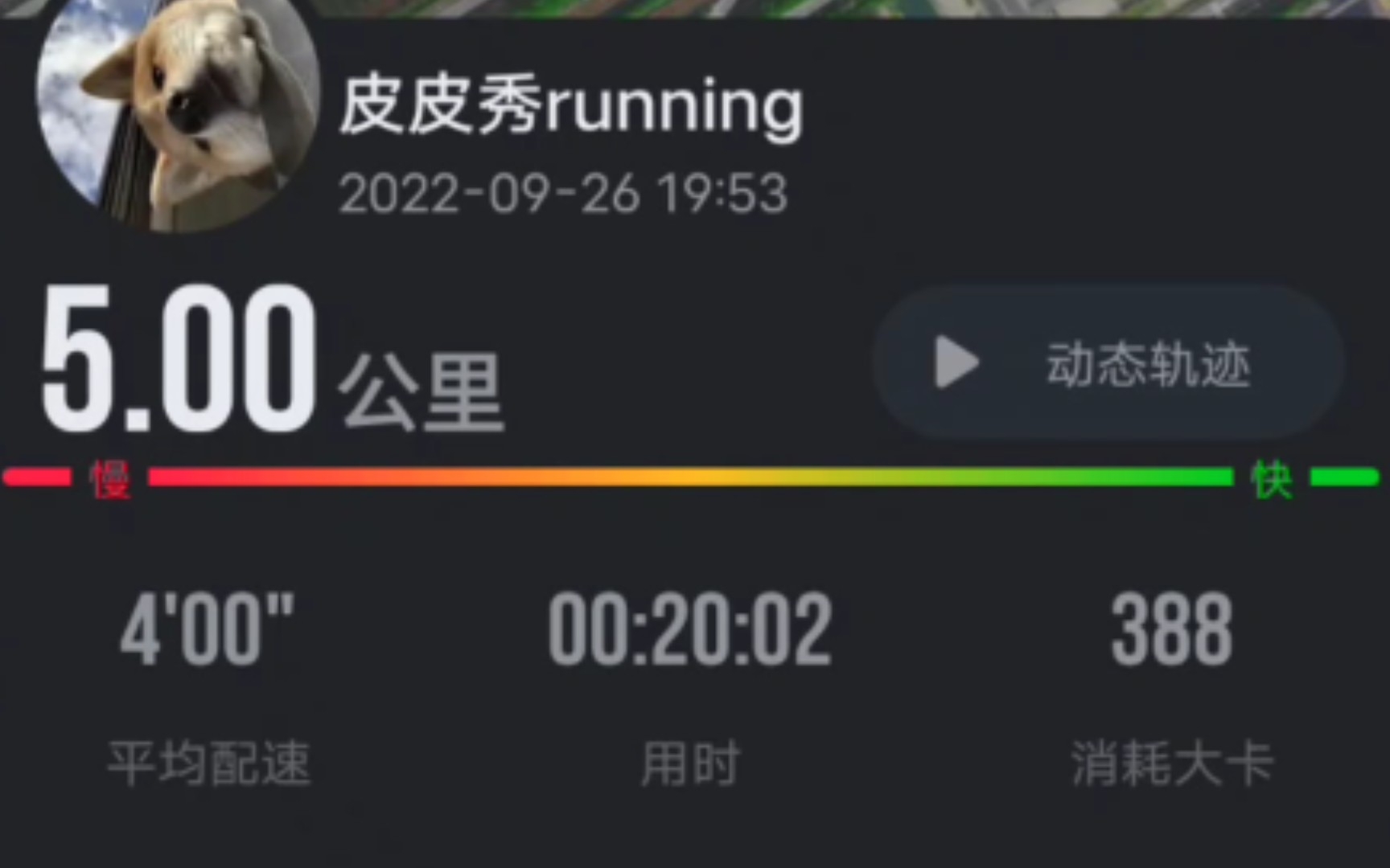 凉风吹拂,夜跑5km,拉夸了拉夸了,5km进个20都这么费劲了,跑速度都吃不消了,感觉得加强速耐训练了哔哩哔哩bilibili