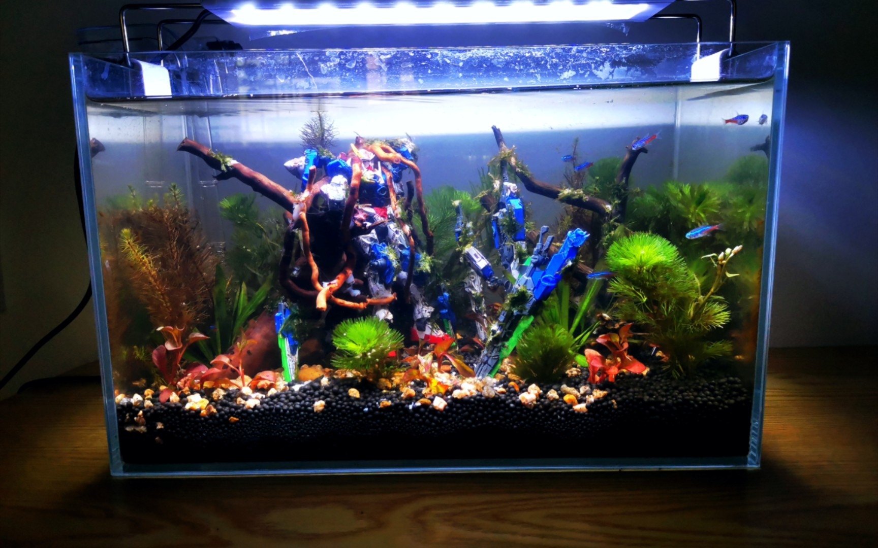 大家一起来摸鱼吧战损高达草缸