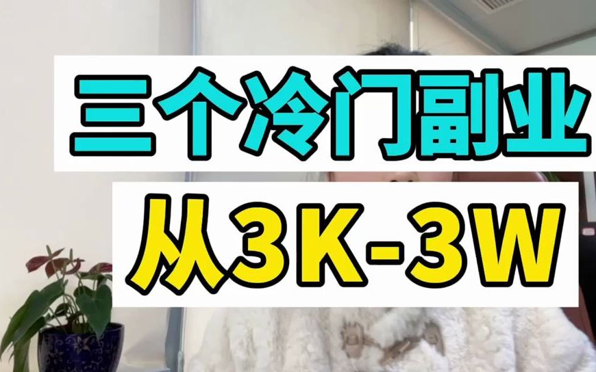 【三个冷门副业】 从月入2000到20000,适合性格内向的人做!哔哩哔哩bilibili