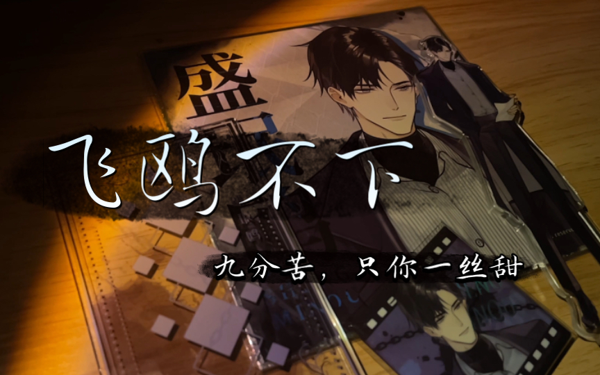 飞鸥不下|盛珉鸥|谷美|"这个世界,吵闹又无趣"