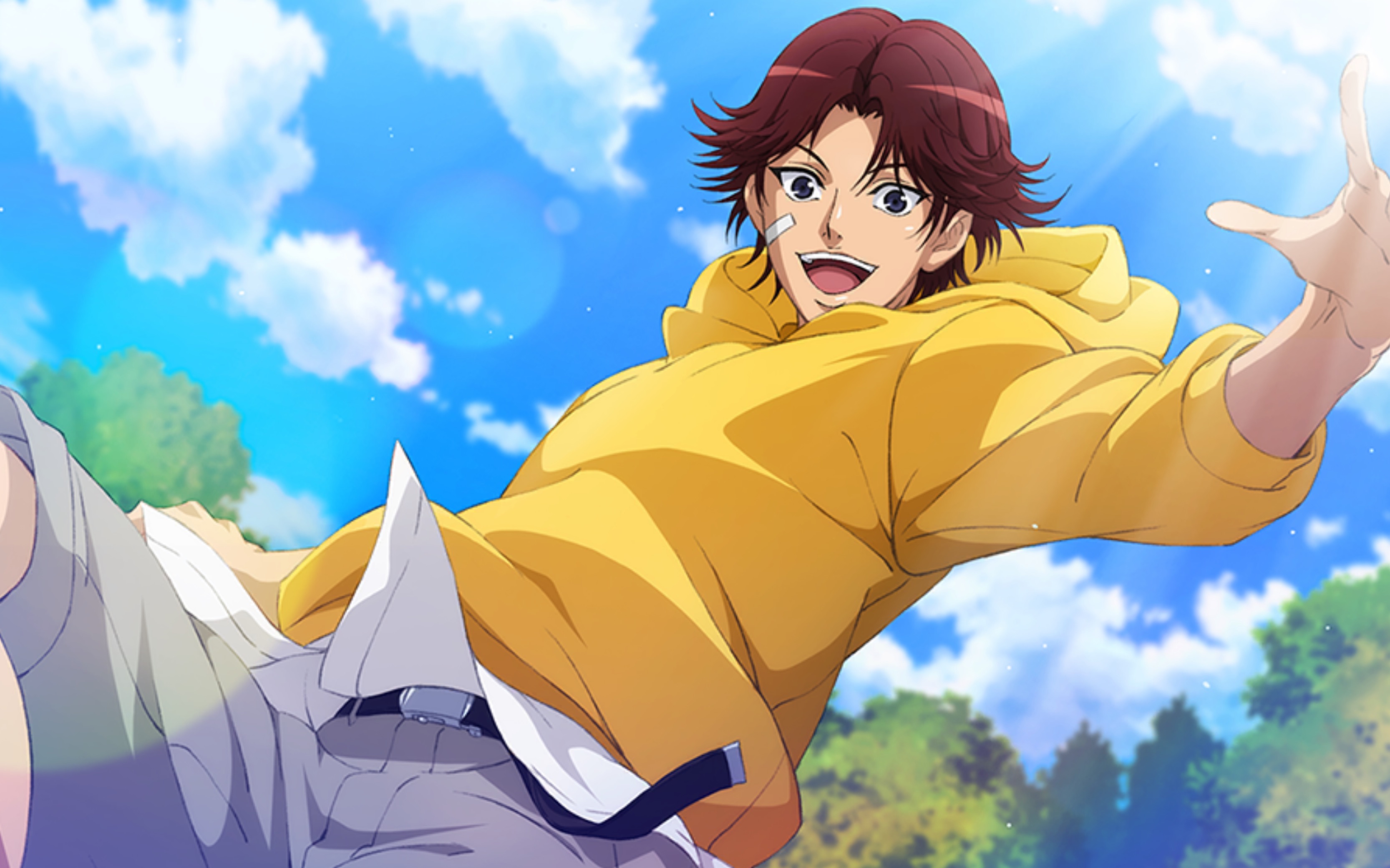 菊丸英二常驻卡剧情