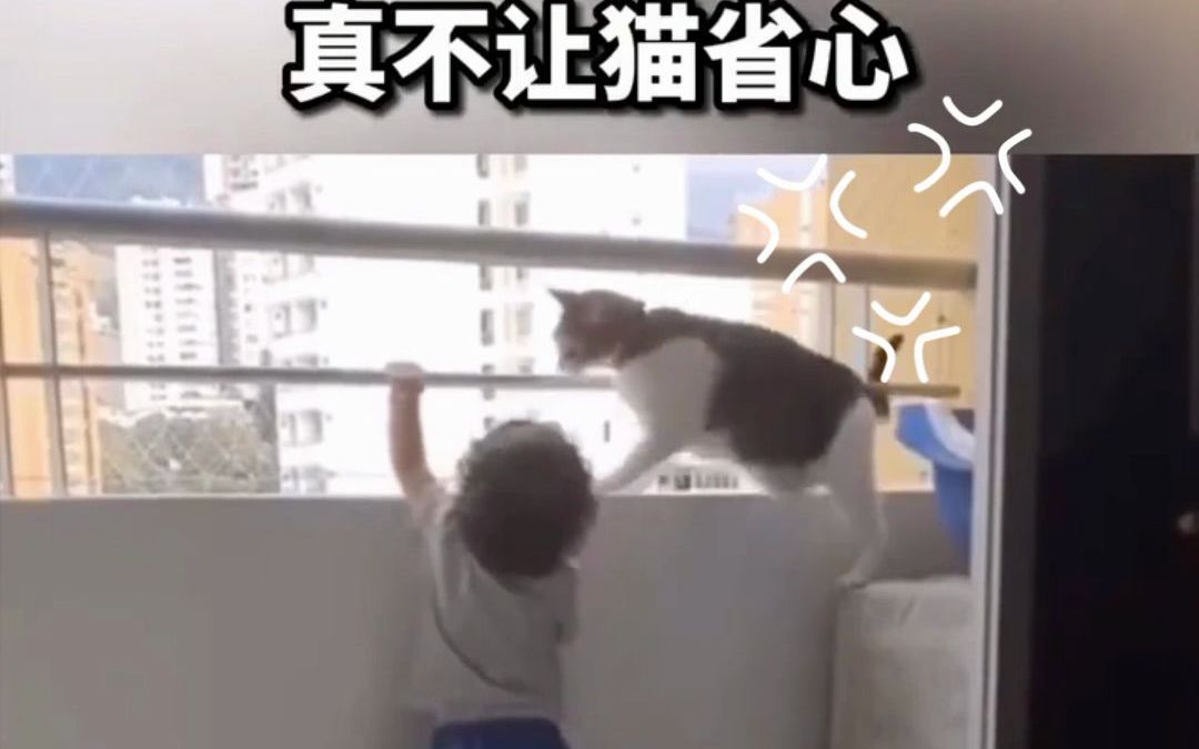 人类幼崽让动物们操碎了心!哔哩哔哩bilibili