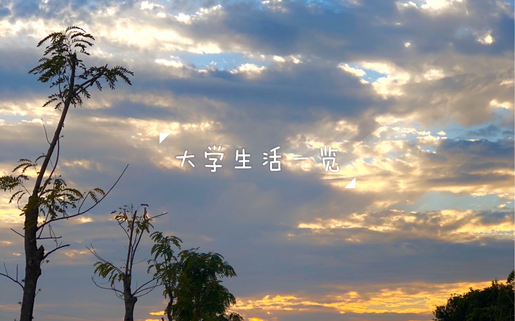 vicky大学生活一览