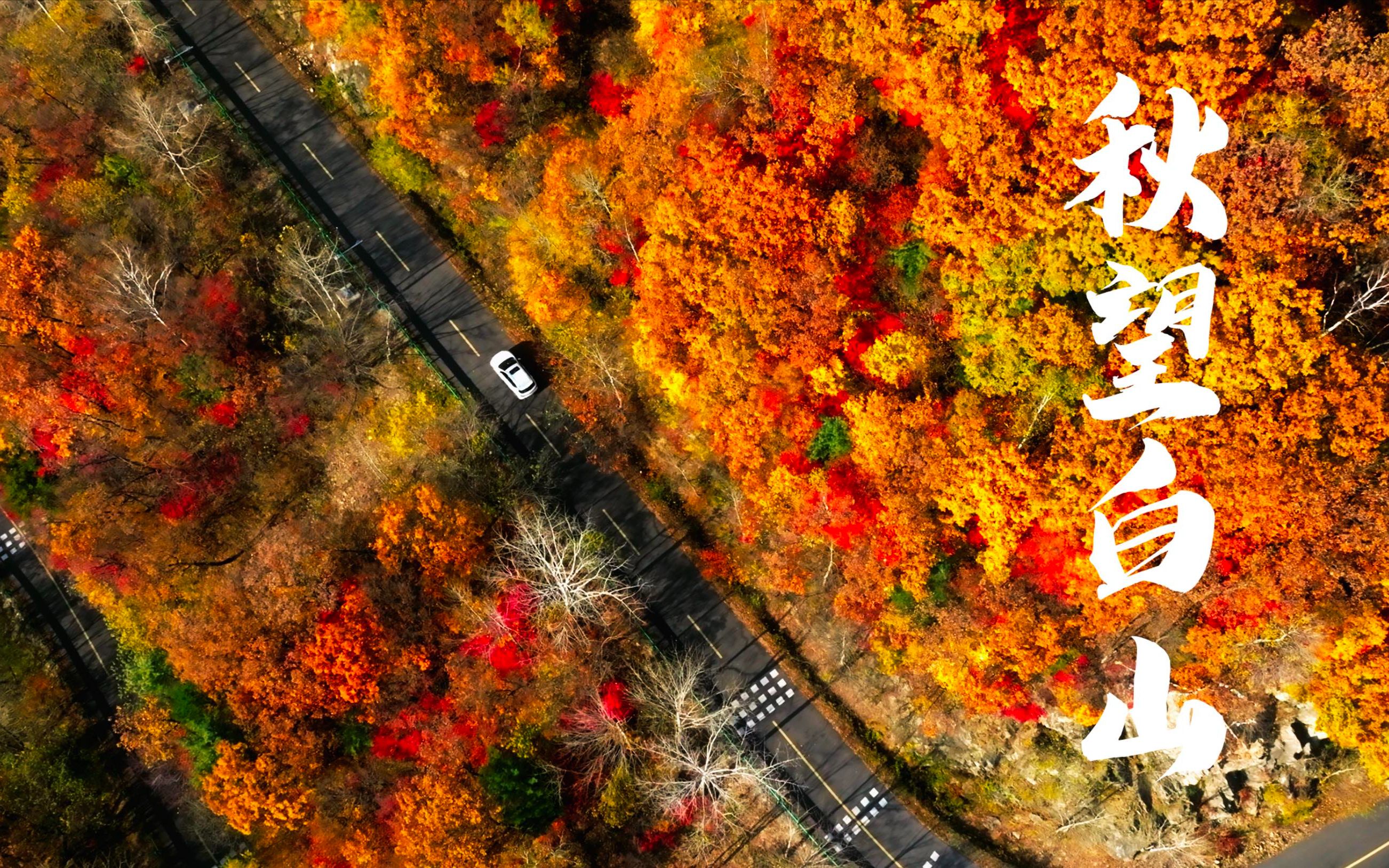 [图]秋望白山-吉林白山的秋天