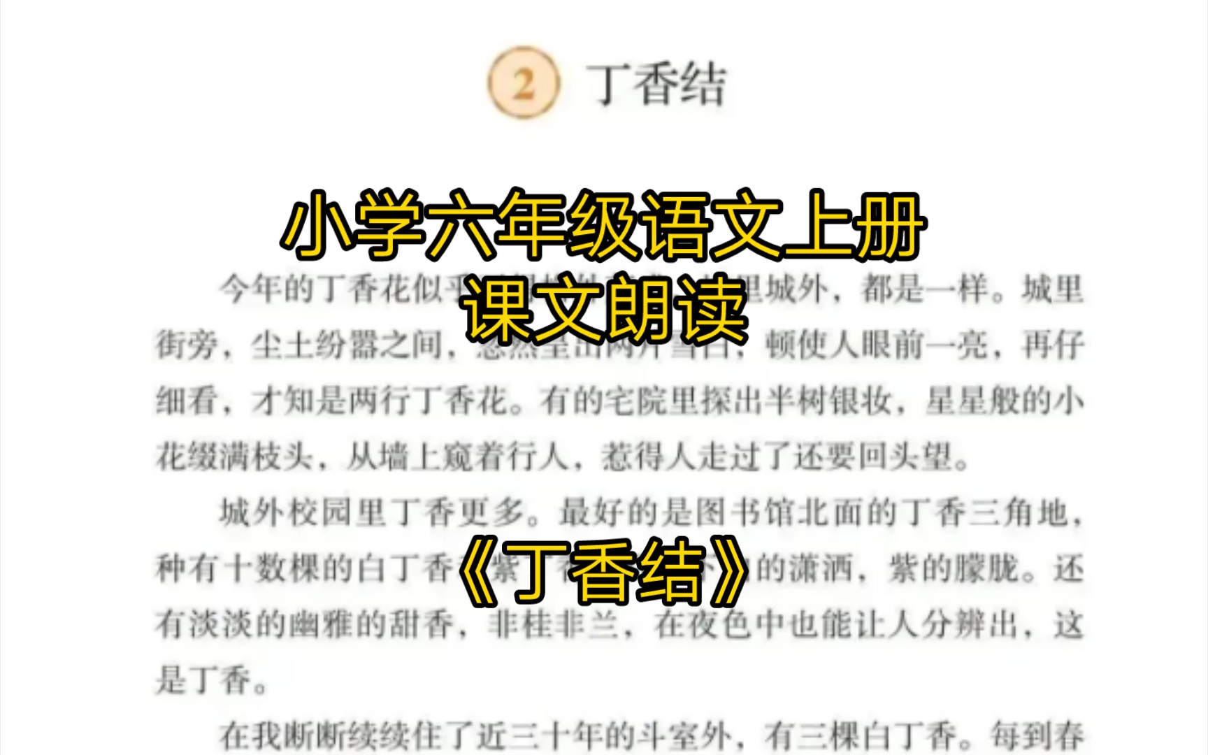 小学六年级语文上册——课文朗读《丁香结》哔哩哔哩bilibili