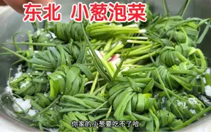 Télécharger la video: 下饭菜！东北小葱泡菜一绝！凉拌大头菜嘎嘎香！