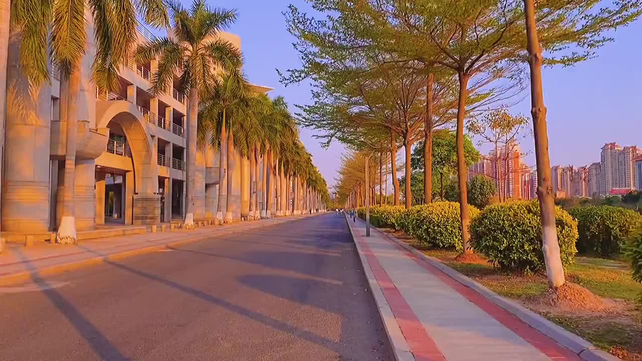 华侨大学校园等到夏天换一个校园再见面日落