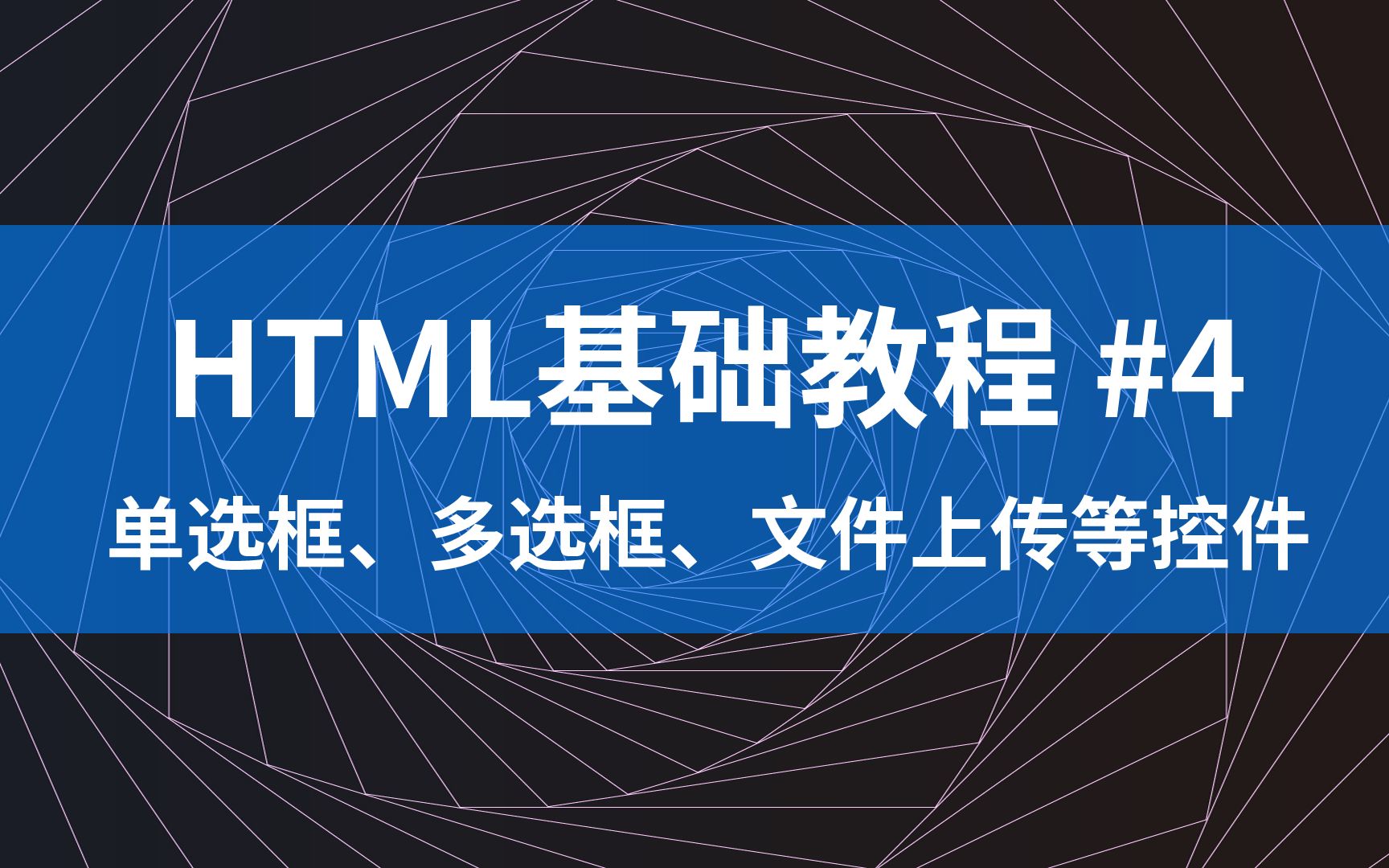 HTML基础教程#4  表单类标签(二)(单选框、多选框、文件上传等控件) (2020年)哔哩哔哩bilibili