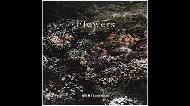 福間創　Flower 福間創- Flowers（2021Remasterd）[Full Album]_哔哩哔哩_bilibili
