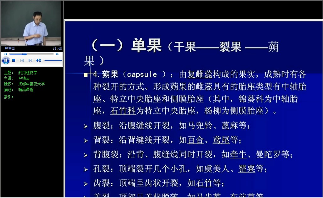 22、果实2、种子哔哩哔哩bilibili