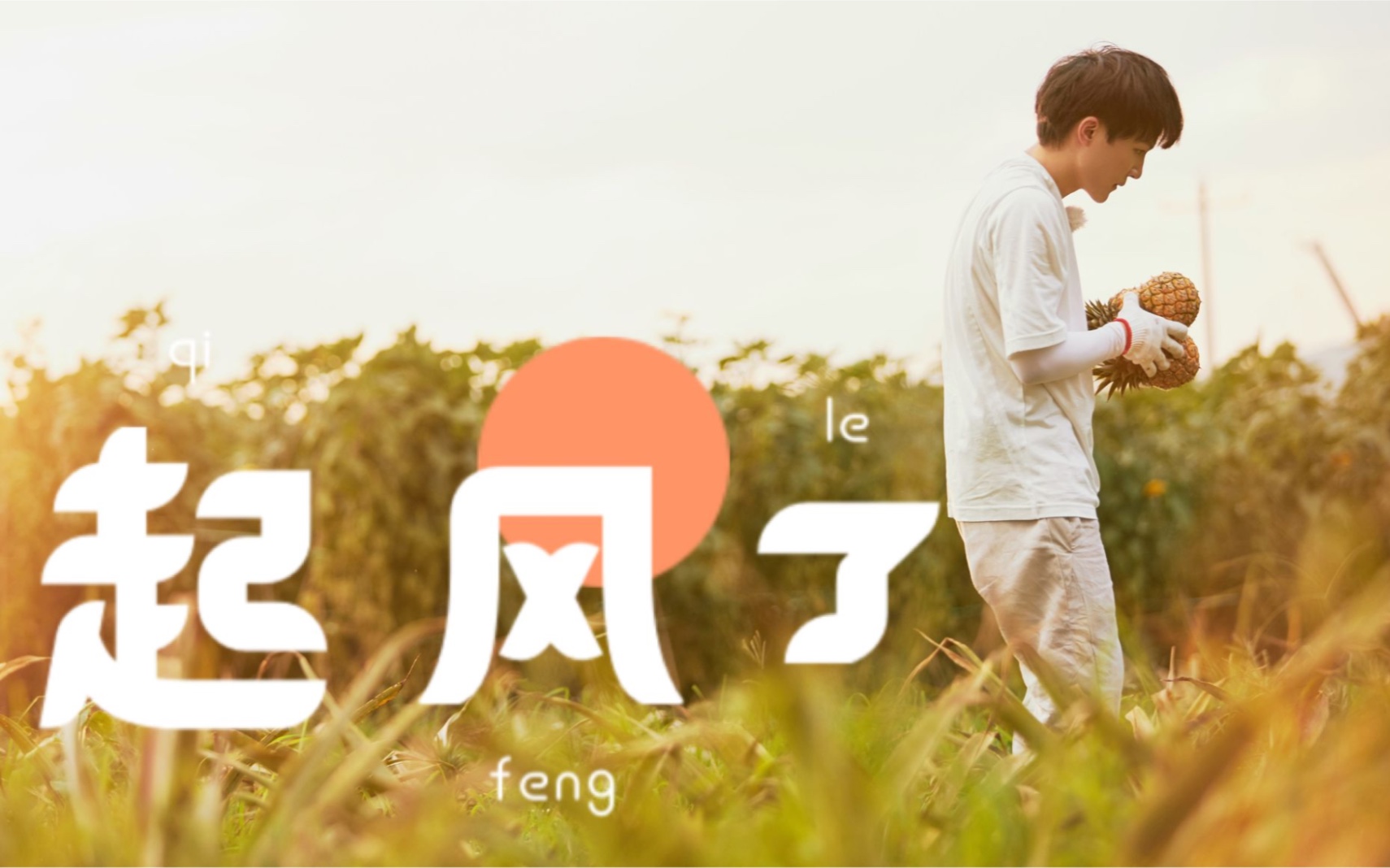 周深宫崎骏愿你历尽千帆归来仍是少年起风了