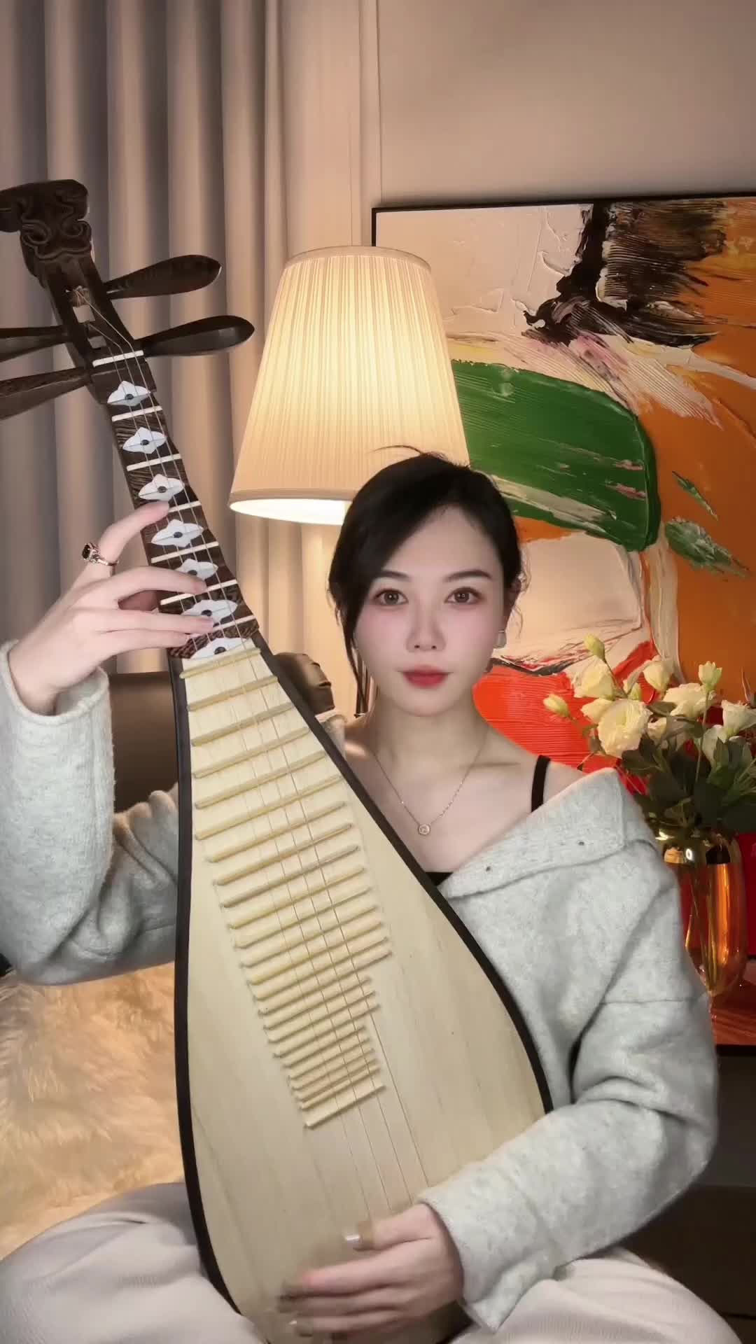 俗称自恋狂琵琶谁说民乐不抖音弹个音符给你听