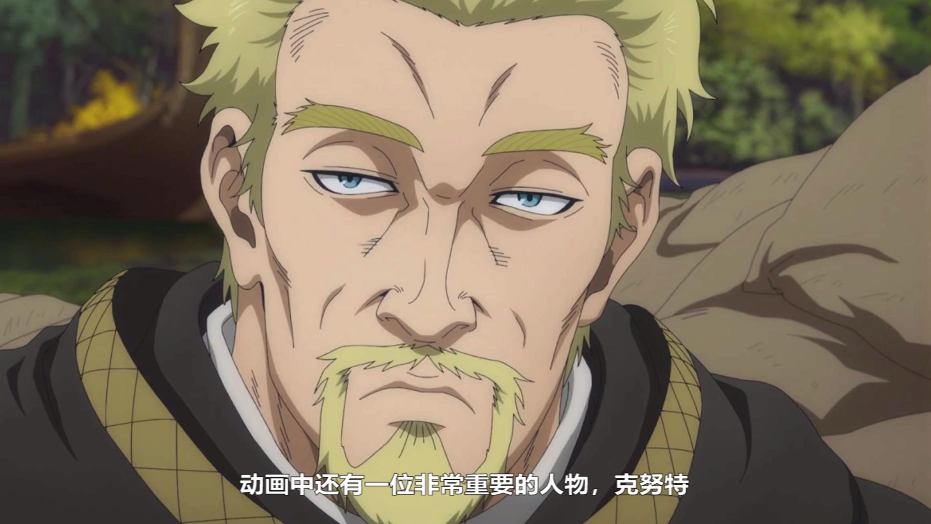 冰海战记(上):文兰到底在哪?克努特又是什么来头?