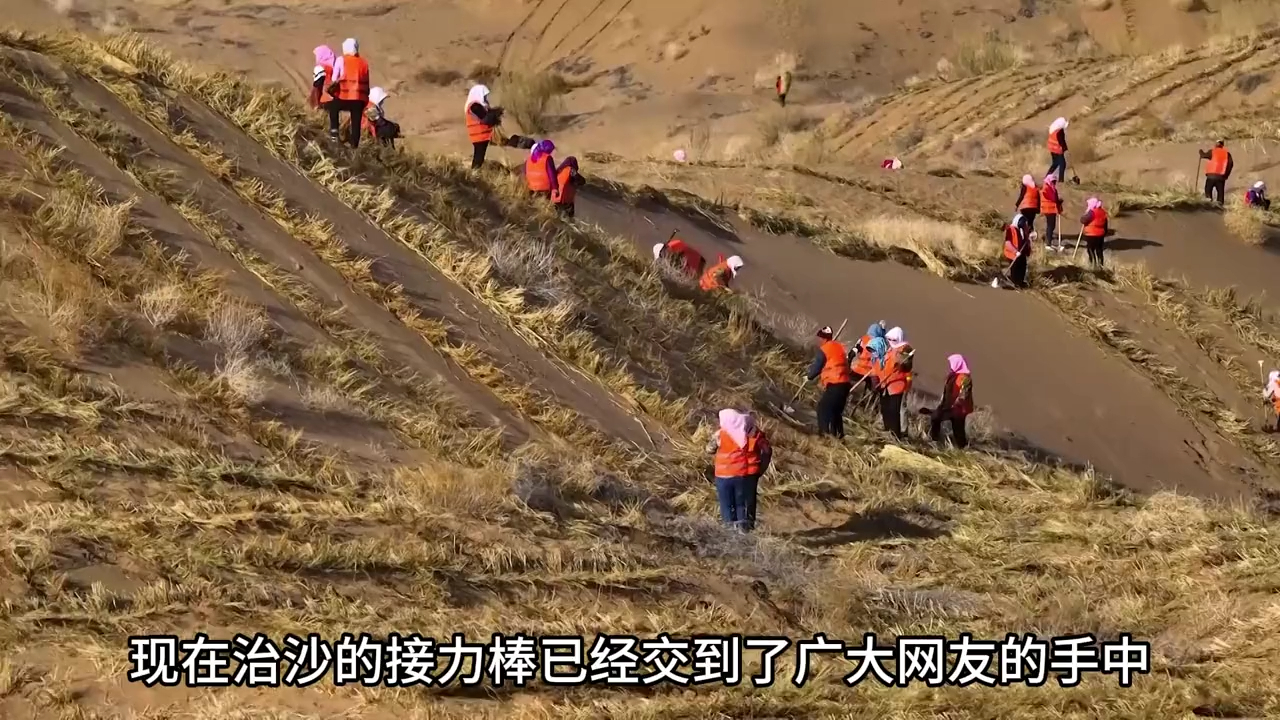 太震撼!甘肃武威万人压沙,邀全国蚂蚁森林网友来种树哔哩哔哩bilibili