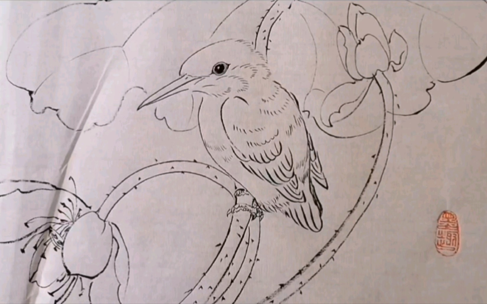 翠鸟简笔画 三年级图片