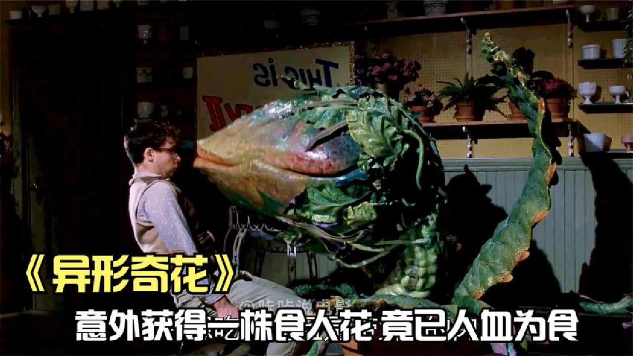 小花花送给你,不止嗜血还吃你《异形奇花》