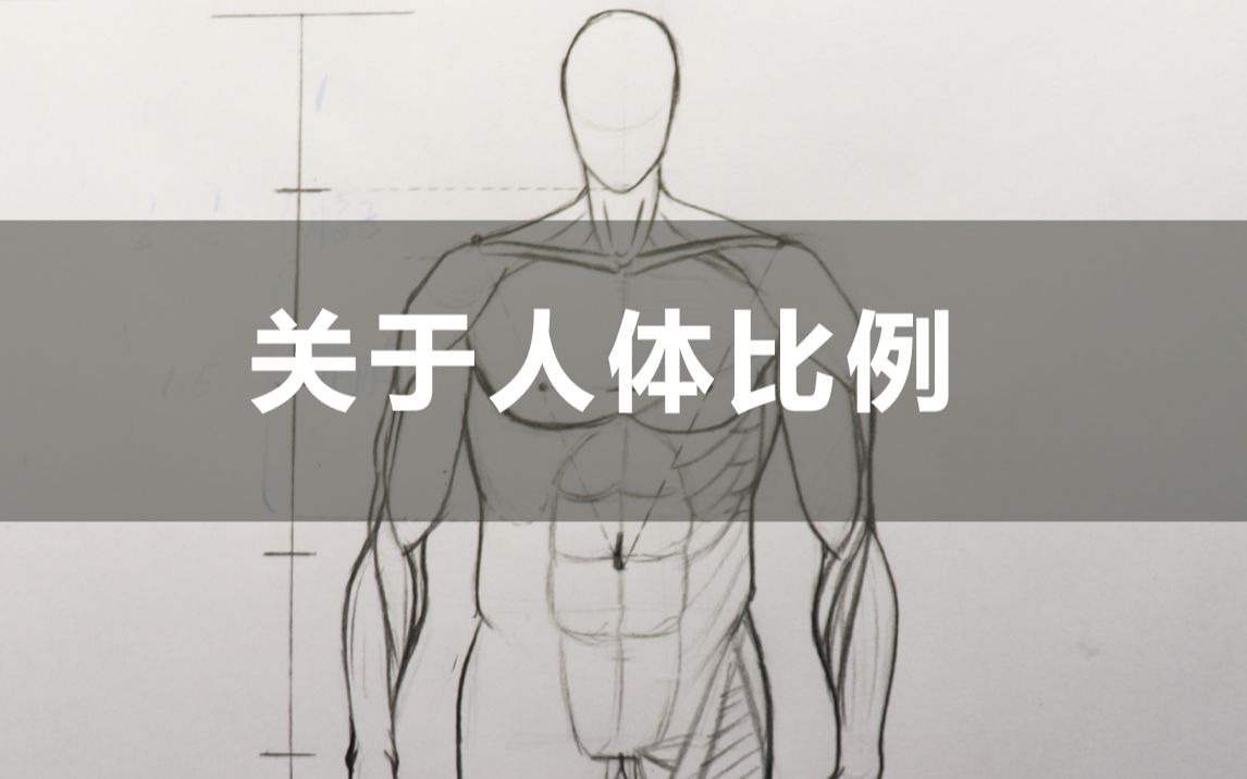 【手绘】那些常用的人体比例分享哔哩哔哩bilibili