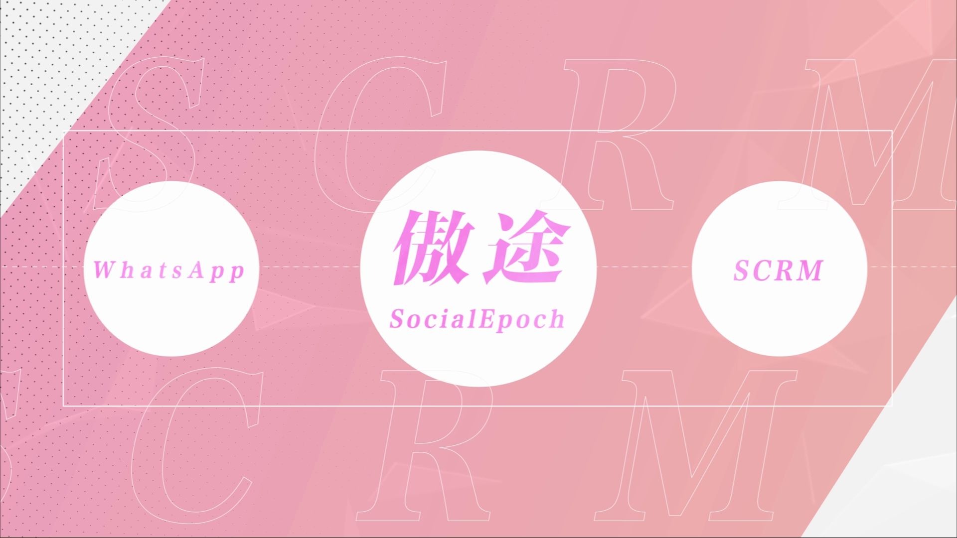 傲途SocialEpoch WhatsApp SCRM系统智能自动回复操作哔哩哔哩bilibili