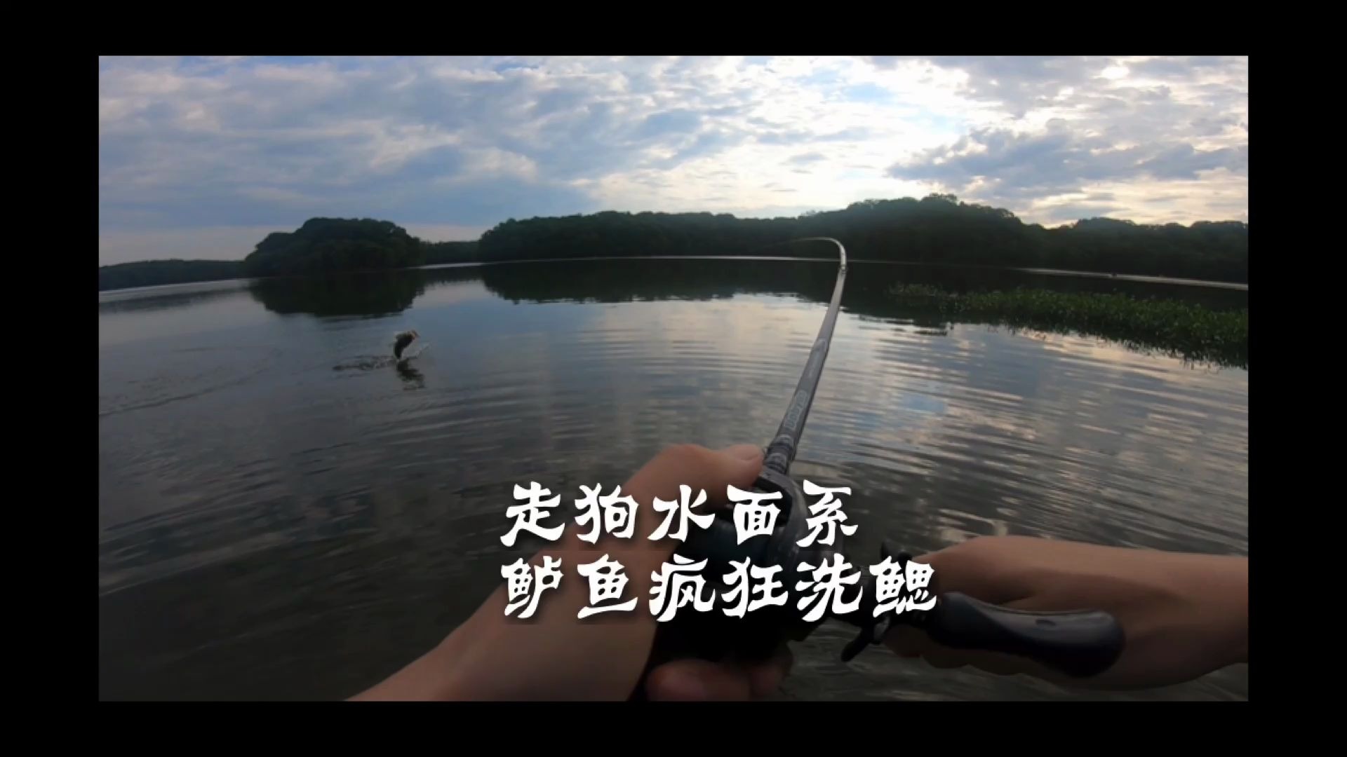 走狗水面系,大嘴鲈鱼疯狂洗鳃