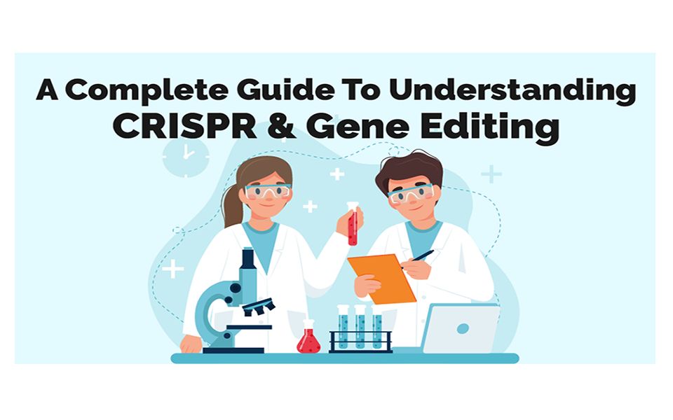 [图]Overlap PCR