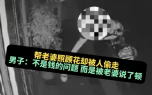 Tải video: 精心照顾的玫瑰终于开花 不料被偷 当事人：不是钱的问题 而是被老婆说了顿