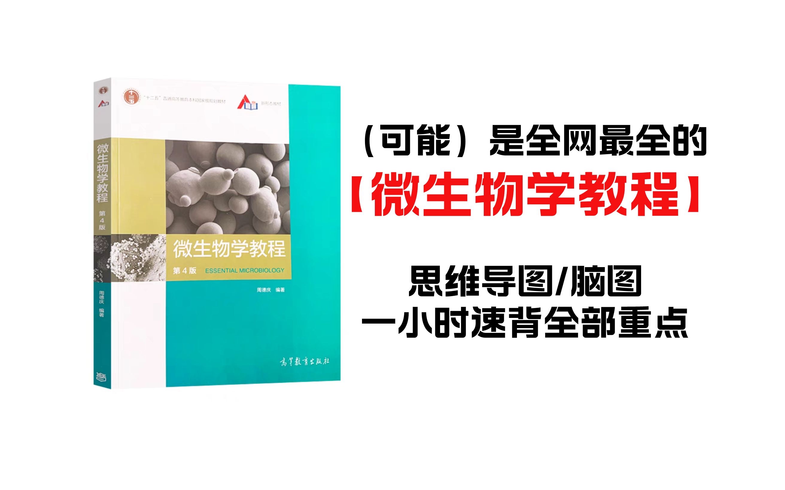 【微生物学教程】 最全思维导图免费下载!生物学专业大学生必备 脑图|笔记|重点|复习|知识梳理|期末哔哩哔哩bilibili