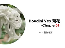 Скачать видео: Houdini Vex 程序化菊花教程  Chapter01 总览