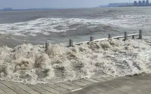 Скачать видео: 钱塘江大潮之老盐仓的回头潮拍上岸