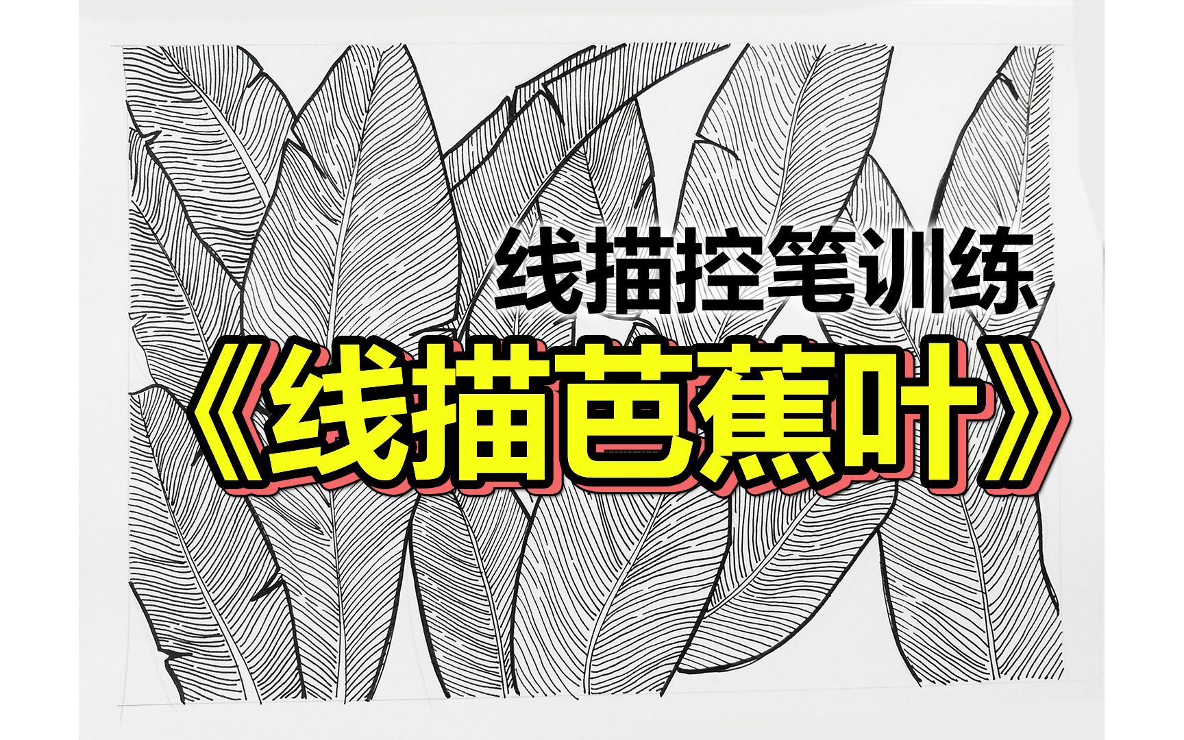 [图]【美术课分享】线描芭蕉叶 | 线描控笔训练