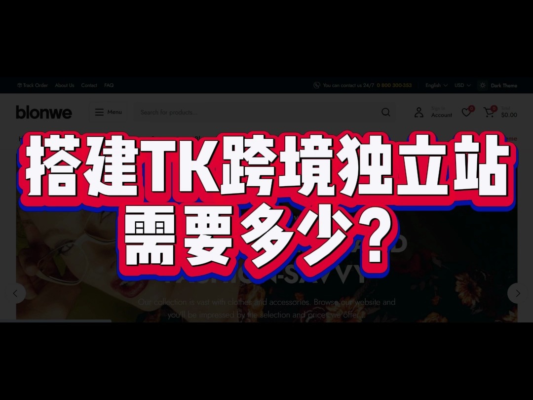 搭建TK跨境独立站需要多少?哔哩哔哩bilibili