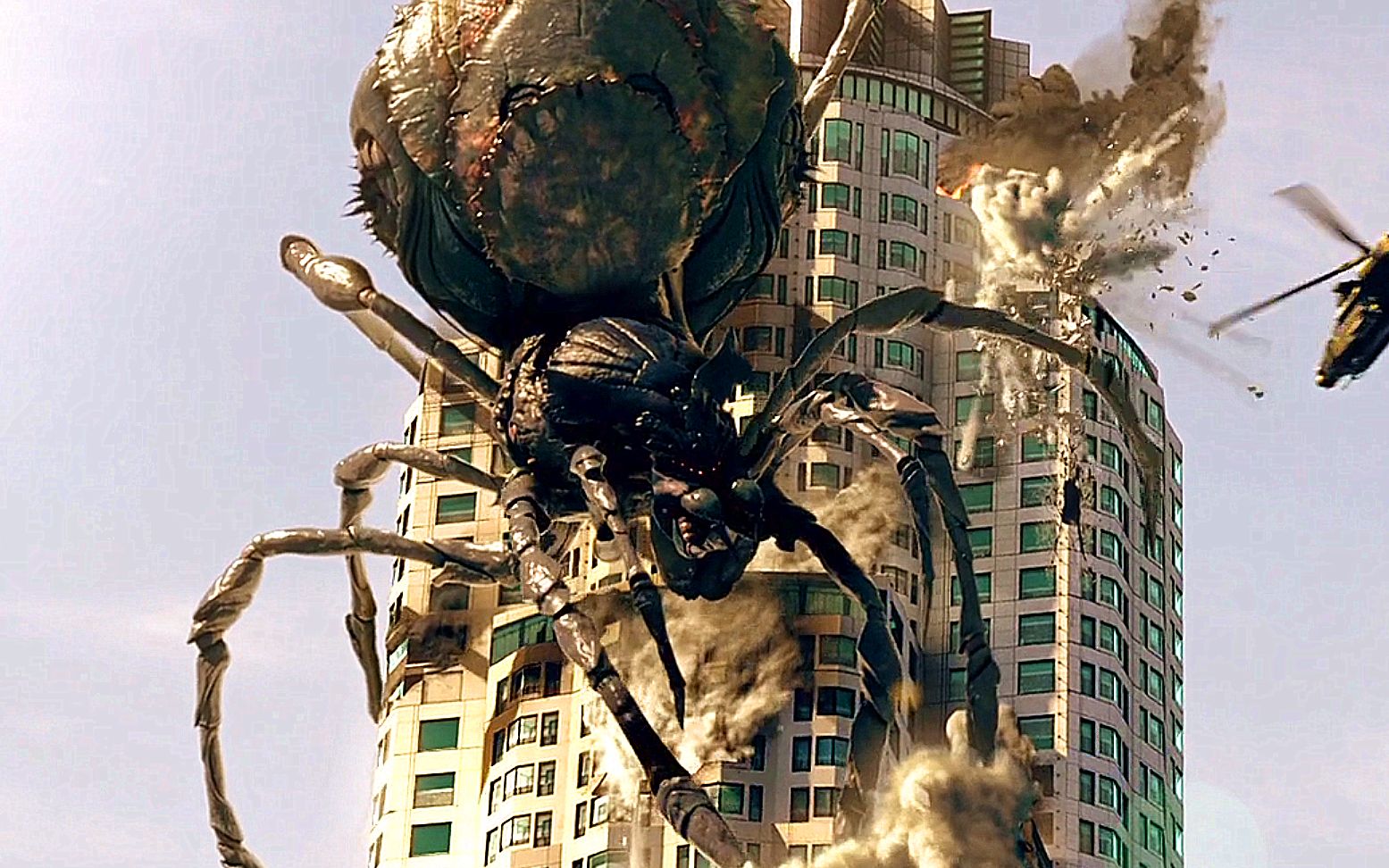新疆巨型蜘蛛事件图片