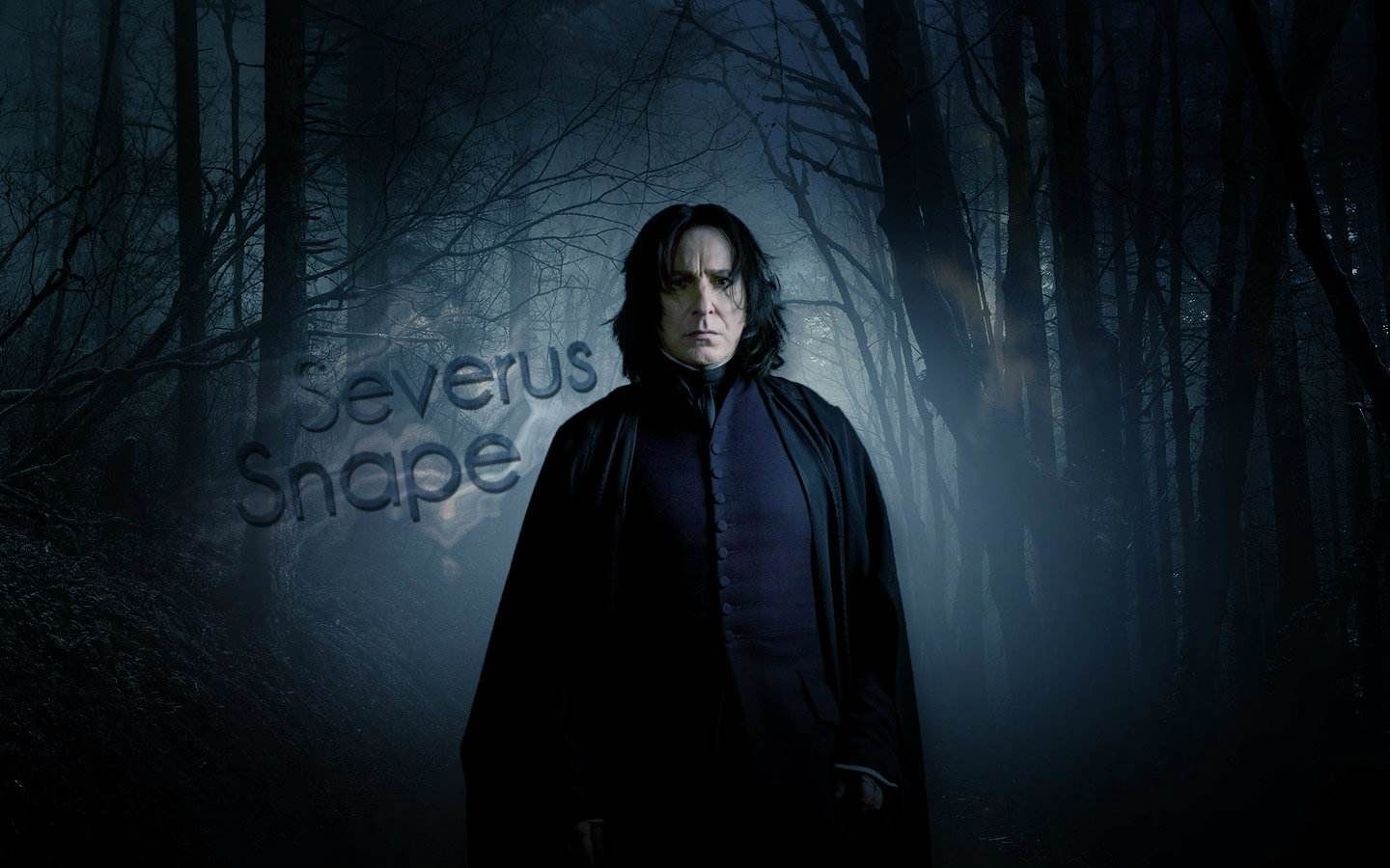 【斯内普哈利波特】Story of Severus Snape (Harry Potter) (18k)哔哩哔哩bilibili