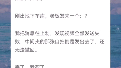 现言,轻松向.不小心把自拍发给老板,老板却回复收到,这题怎么解?《悄悄带走他的心》哔哩哔哩bilibili