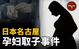 Download Video: 【迷雾疑团】谁取出了她的婴儿 | Wayne调查