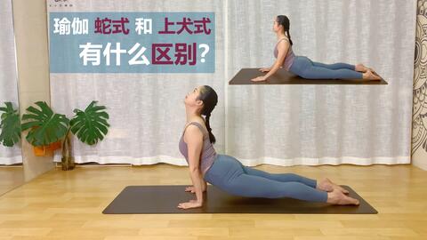瑜伽眼镜蛇式和上犬式有什么区别 哔哩哔哩